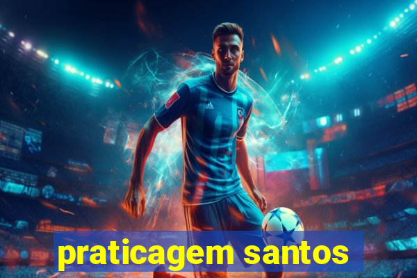 praticagem santos