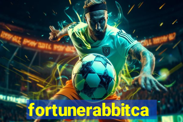 fortunerabbitcasino.online