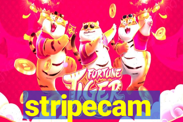 stripecam